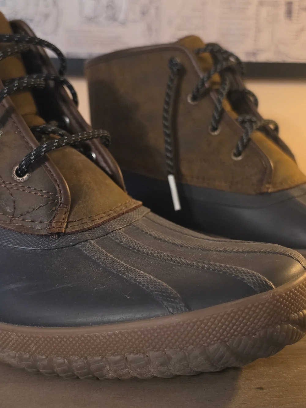 Sperry waterproof duck